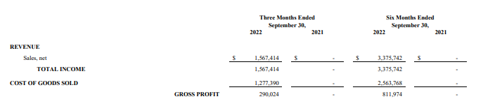 This image has an empty alt attribute; its file name is Cross-Profits-June-Six-Manths-Ended-September-30-2021-and-September-30-2022.png