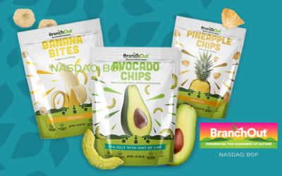 BranchOut Food Closes $400,000 Senior Secured Loan