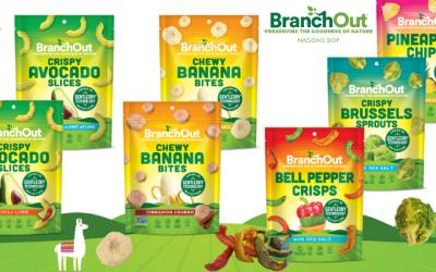 BranchOut Announces Preliminary Q4 2023 Revenue of ~$1.6 Million, 43% Sequential Growth Over the Previous Quarter; Revenue Now at ~$6.4 Million Annual Run Rate