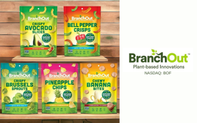 BranchOut Food Announces Closing of $1.4 Million Follow-On Public Offering