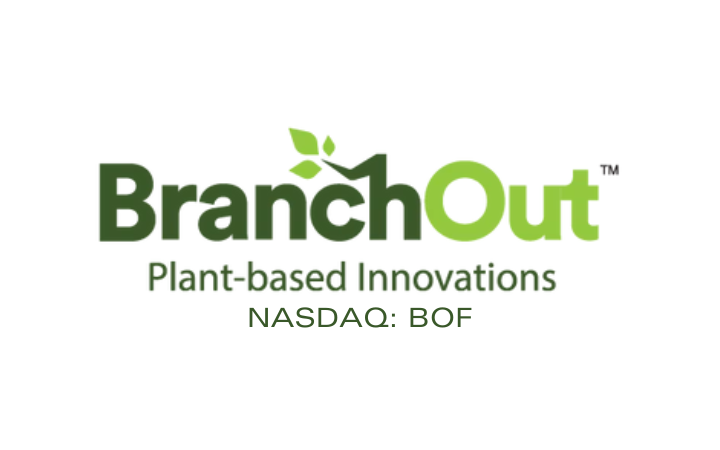 BranchOut Food Delivers Shareholder Update: 2024 Revenue Surges 640% in First Half, Poised for Continued Growth and Debt Elimination by Q4 2025