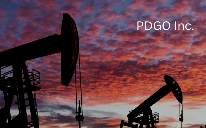 Paradigm Oil & Gas, Inc. (PDGO) Reflects on a Transformative 2024, Poised for Continued Growth in 2025