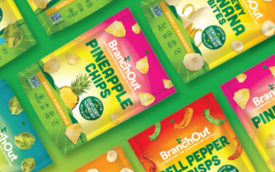 BranchOut Food Inc. Announces Plan to Eliminate Current Liability Notes Payable with $1 Million Warrant Exercise and Extension of Key Financing Agreements