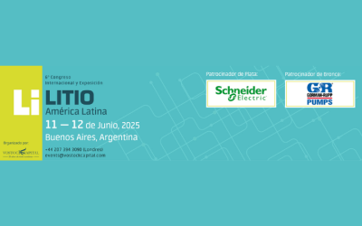 Potencial de desarrollo de la Industria del Litio – Informe sin costo