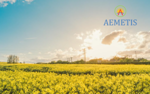 Canola field under blue sky with the sun setting; Aemetis logo visible in the top-right corner.