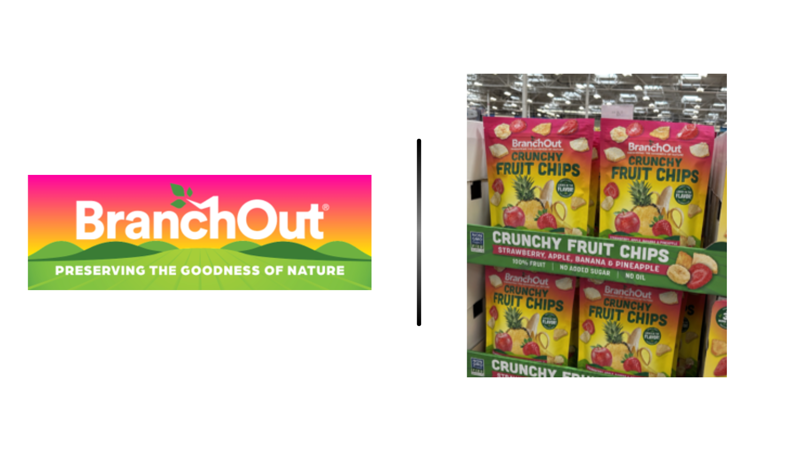 BranchOut logo on left and bags of Crunchy Fruit Chips on a store shelf on the right.