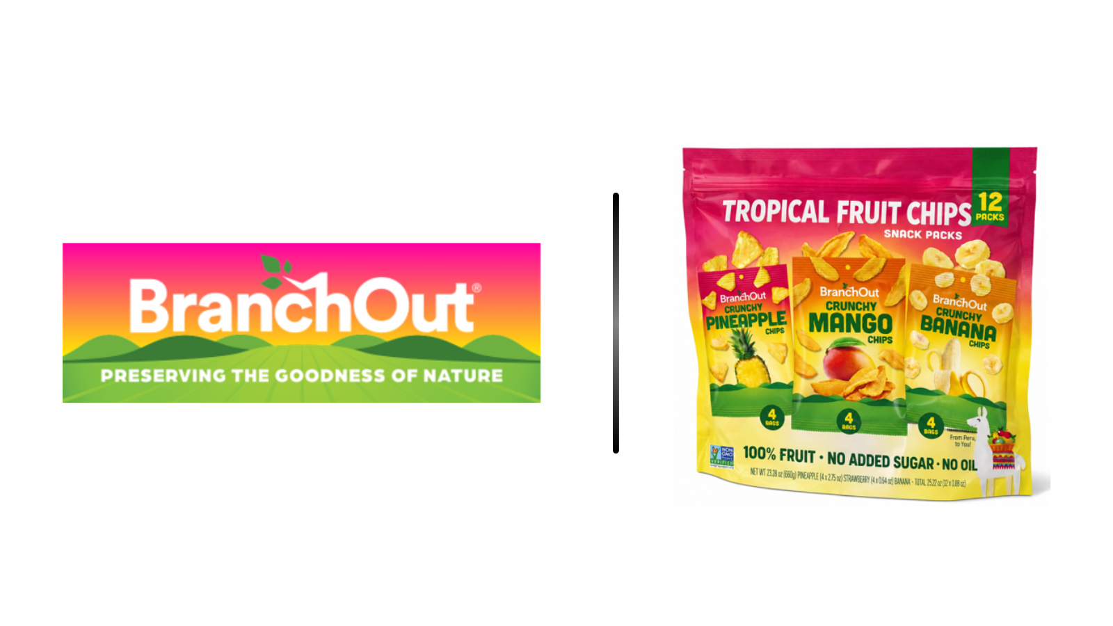 BranchOut brand logo on the left and a tropical fruit chips bag on the right, separated by a vertical divider bar.
